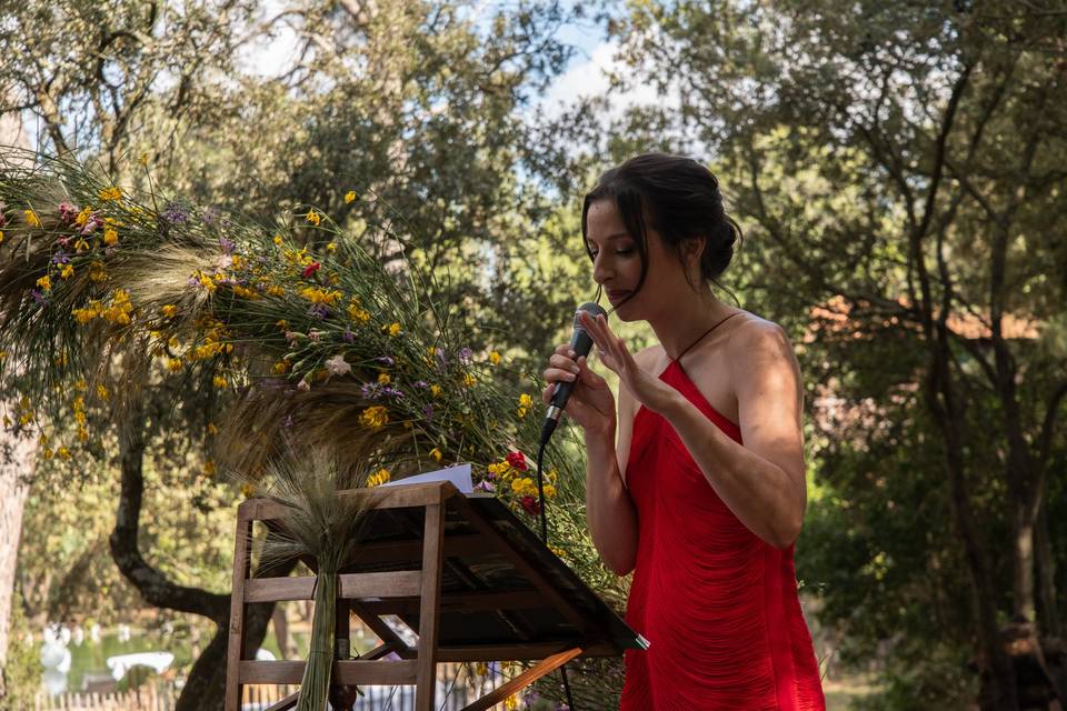 Photo de mariage, Léo Derivot