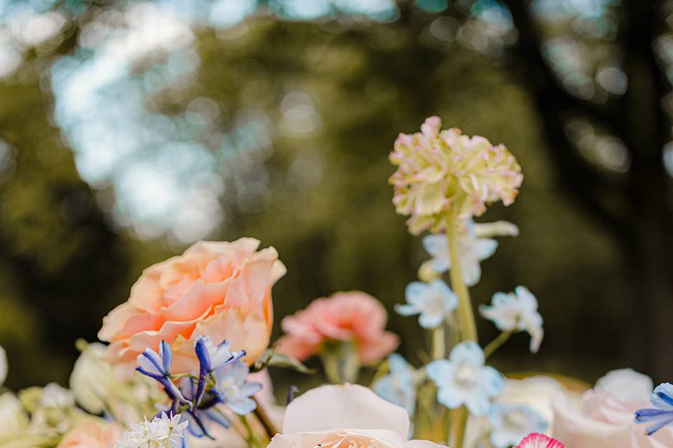 Fleurs