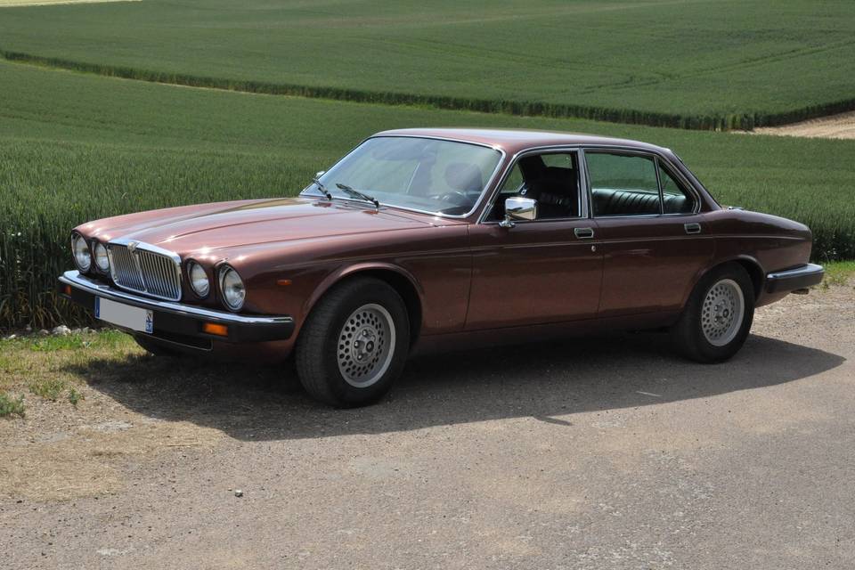 Jaguar Xj12