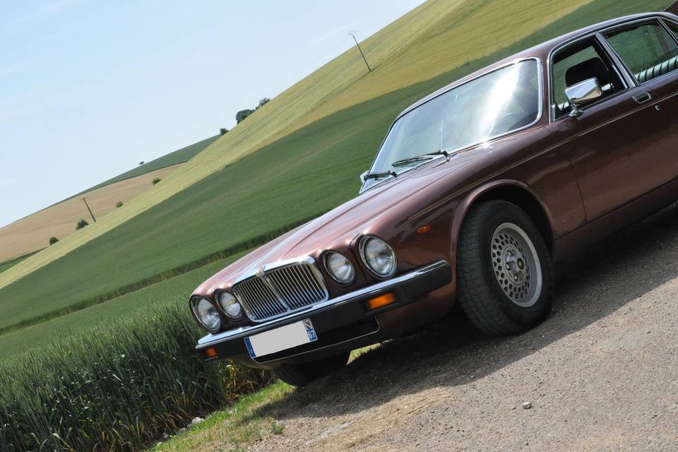 Jaguar Xj12