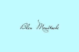 Bleu Moustache - Charles-Henri Poniard