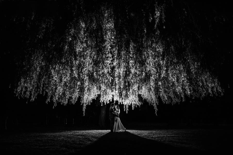 Couple de nuit sous un arbre