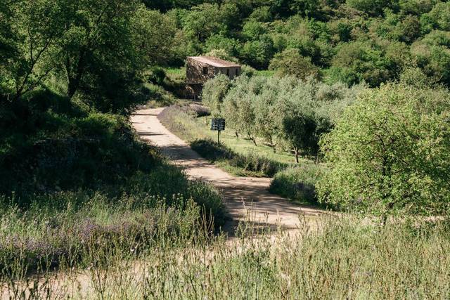 Domaine Acciola