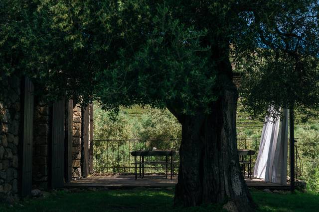 Domaine Acciola