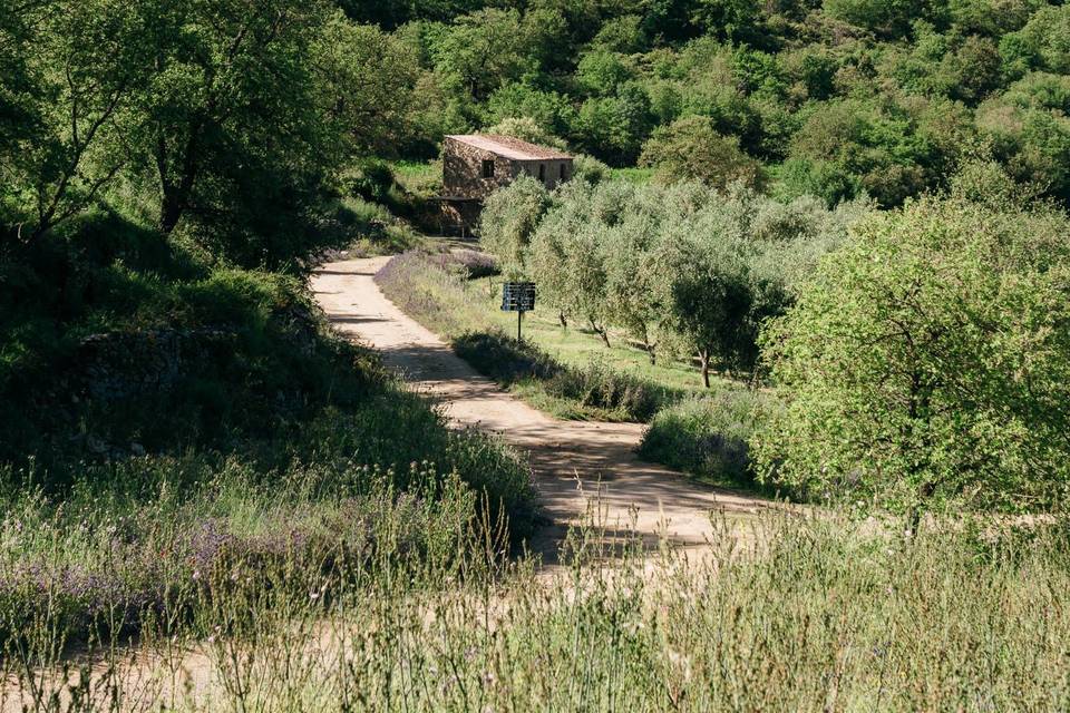 Domaine Acciola