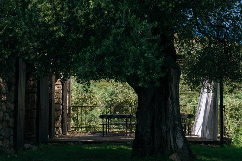 Domaine Acciola