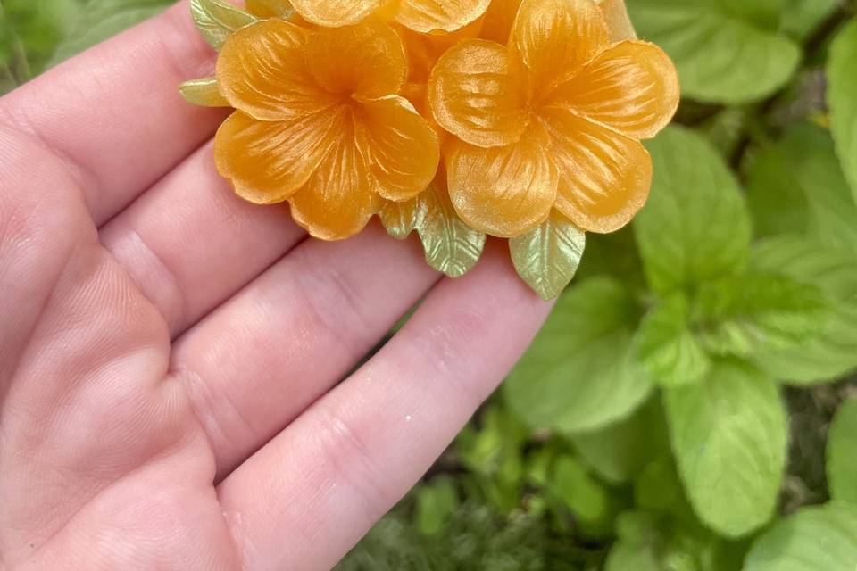 Fleur d’abricotier