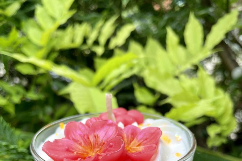 Hibiscus
