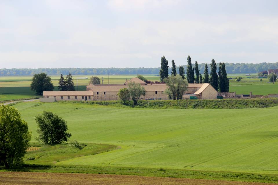 Vue des champs