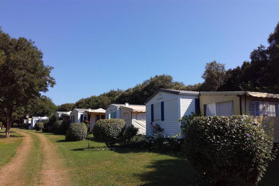 Logement