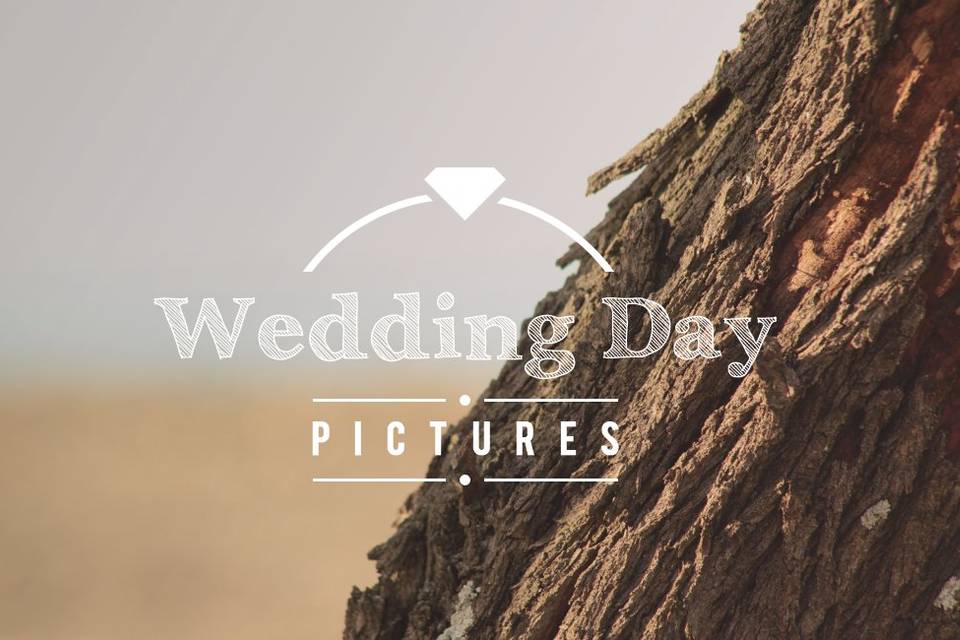 Logo Wedding Day Pictures