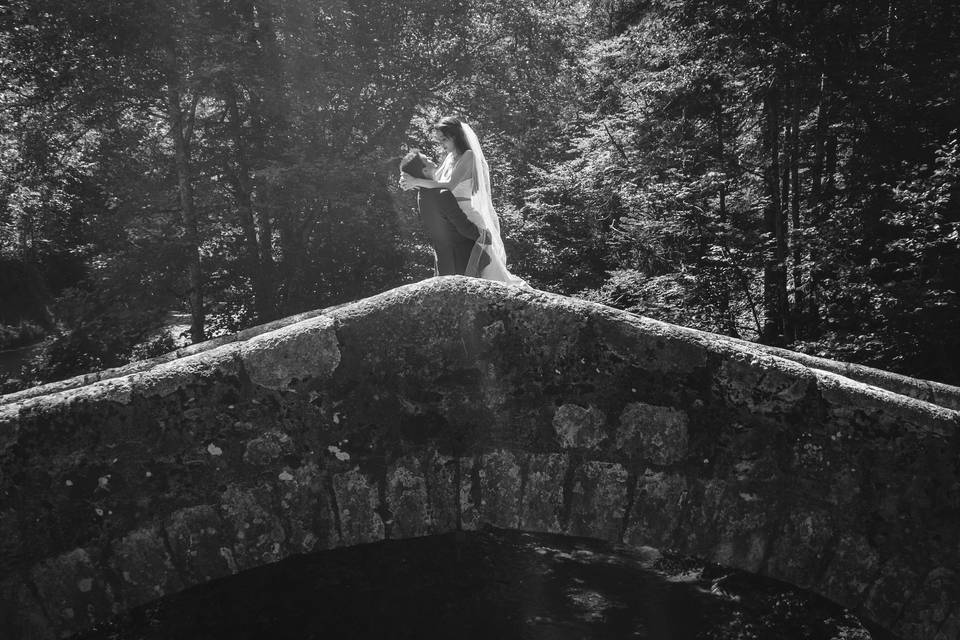 Nicolas Tissot Photographie
