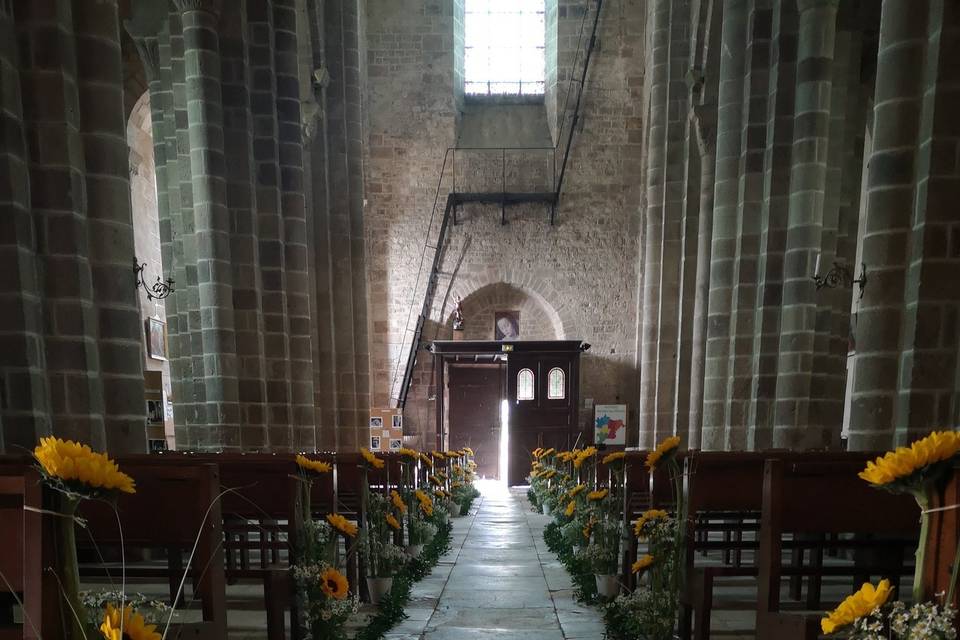 Allée de tournesols