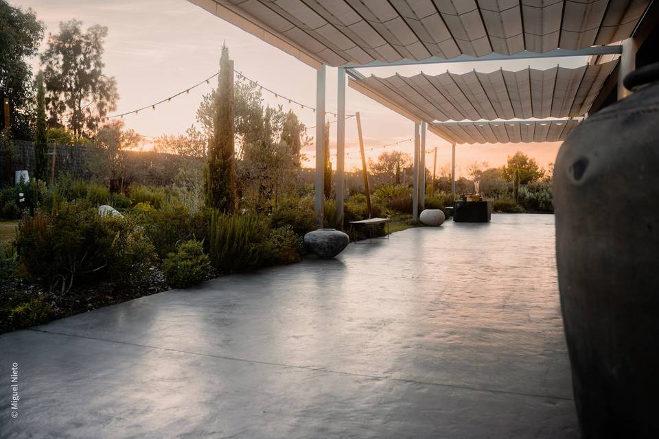 Finca del Sol - Terrasse