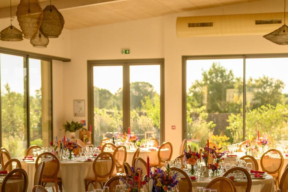 Finca del Sol - Communion