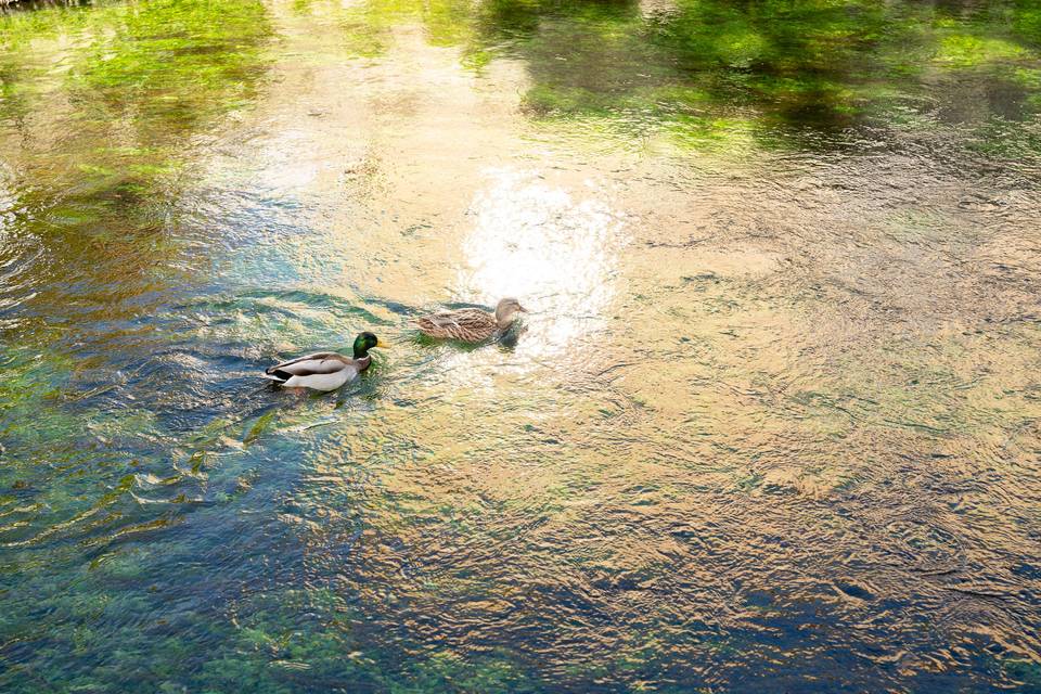 ISLE SUR LA SORGUE