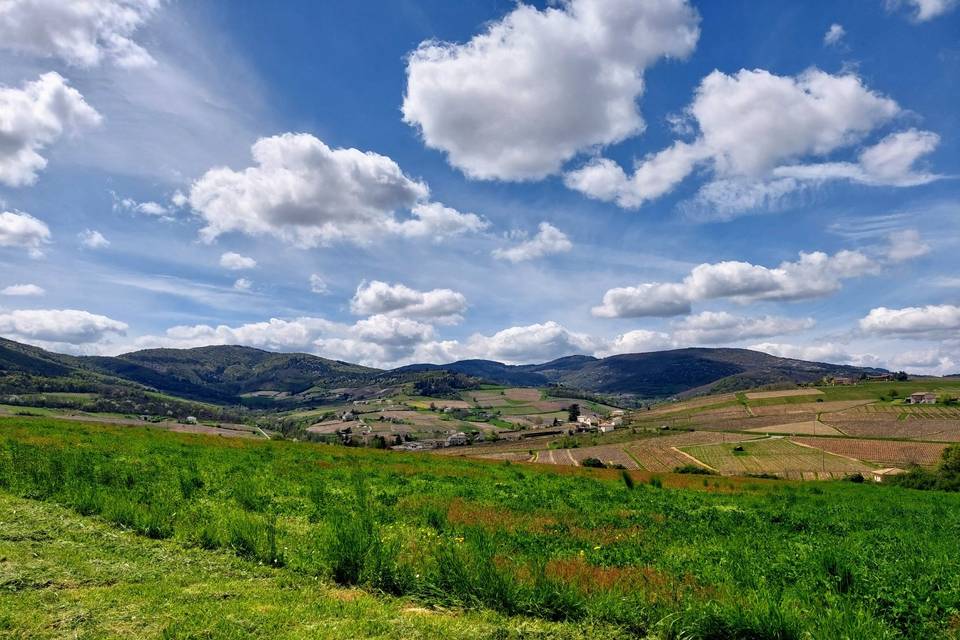 Avec vue sur le Beaujolais