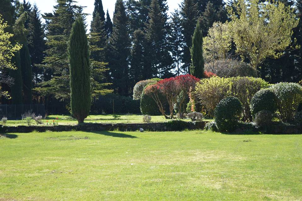 Vue sur le parc