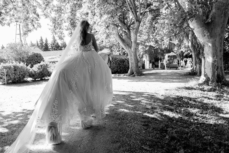 Mariage à Sarrians