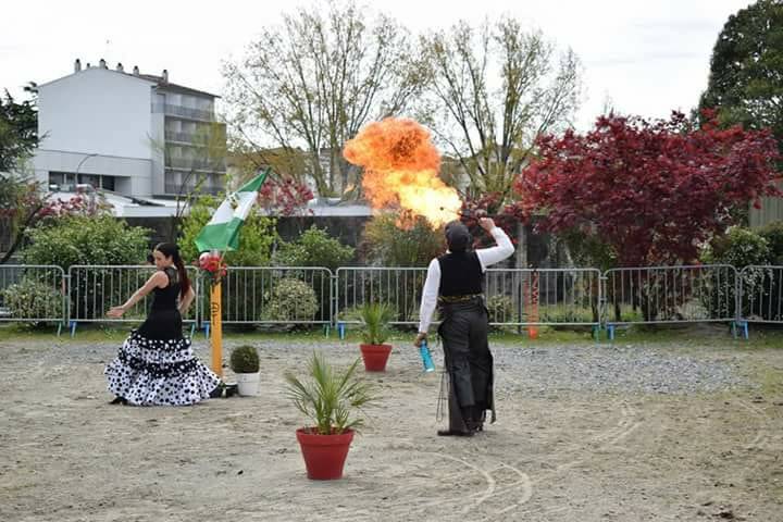 Del Campo a la Plaza