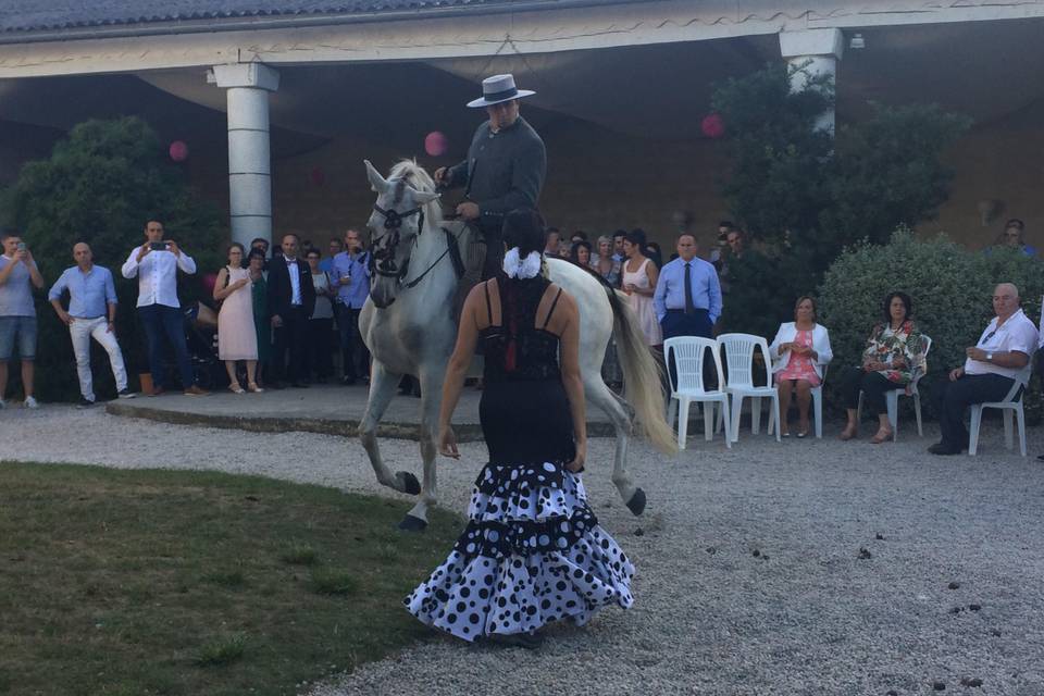 Del Campo a la Plaza