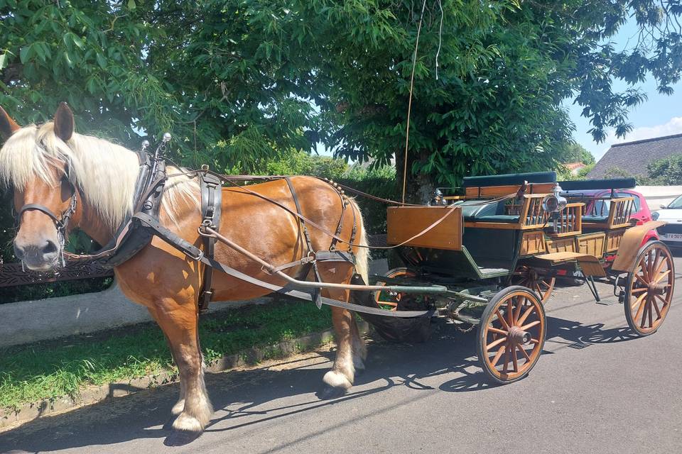Mariage