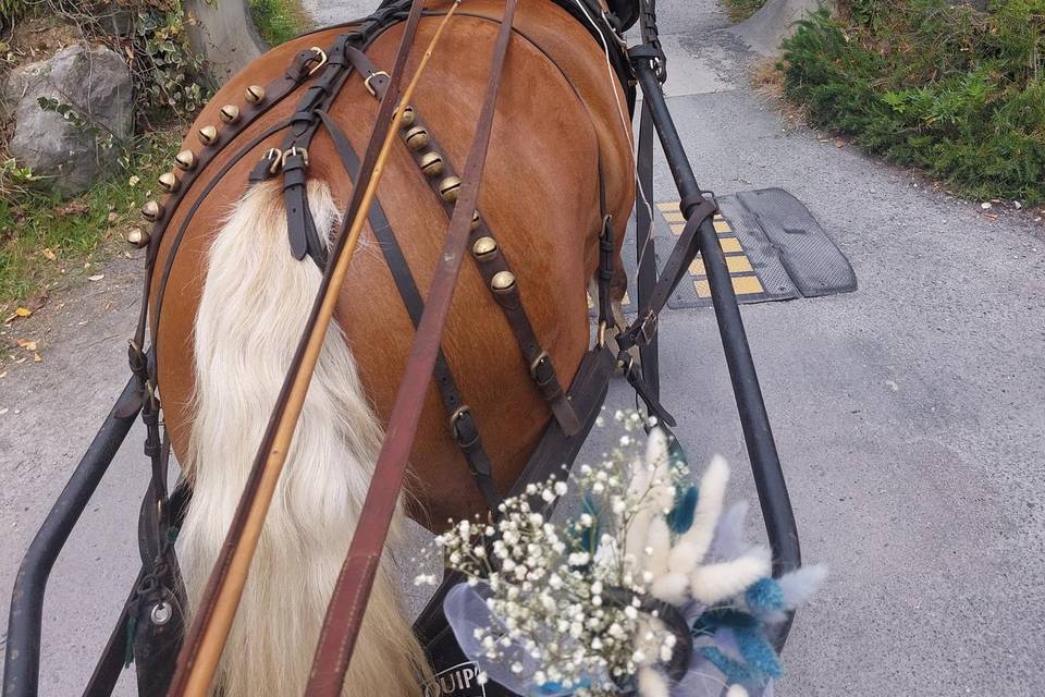Mariage