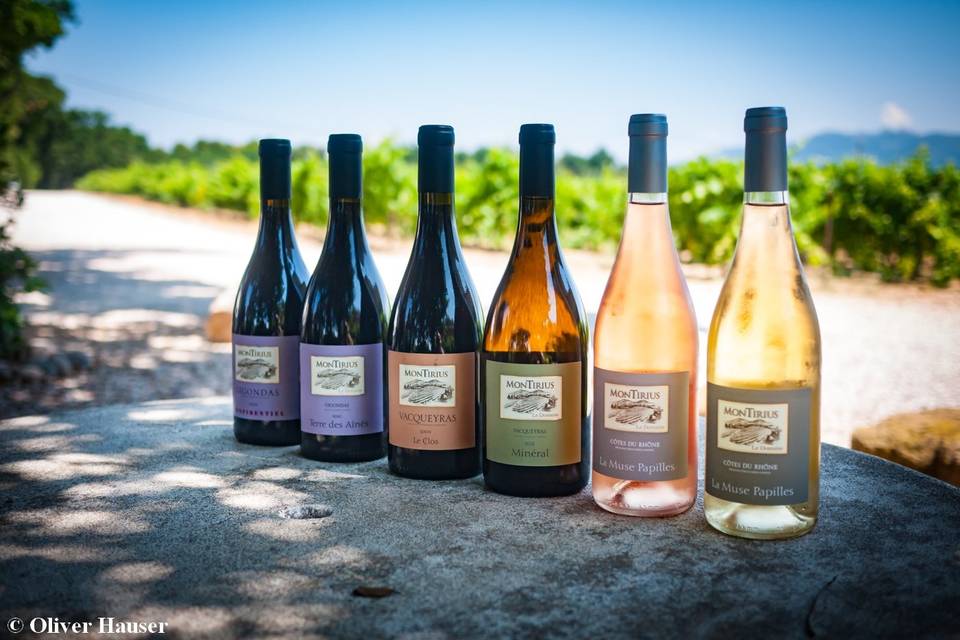 Domaine