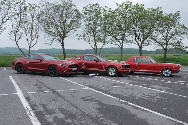 Location Ford Mustang