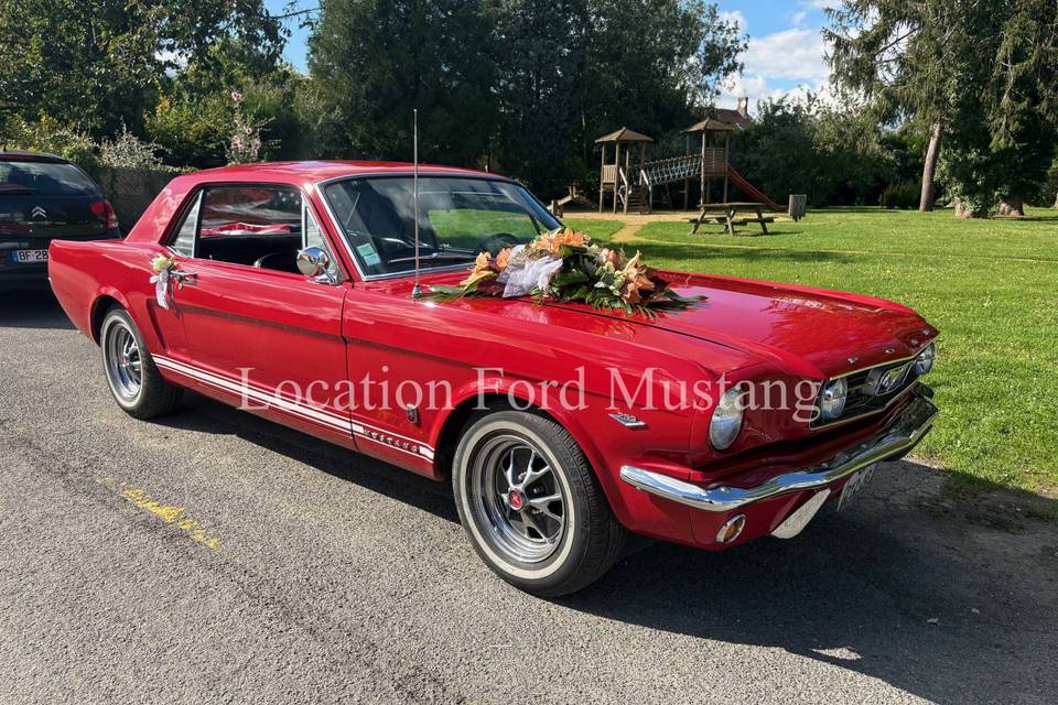 1966 13