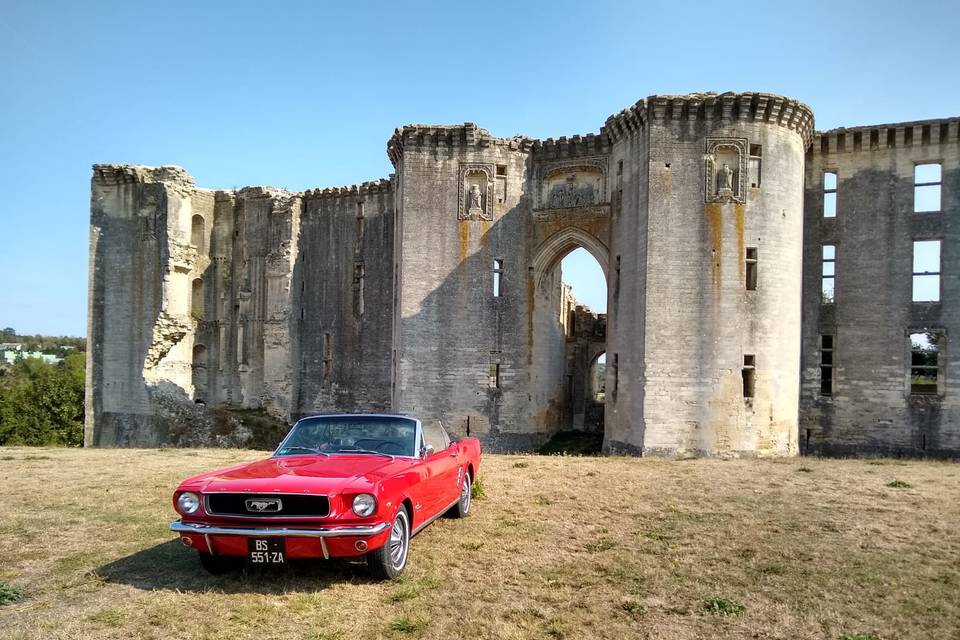 Location Mustang N°27