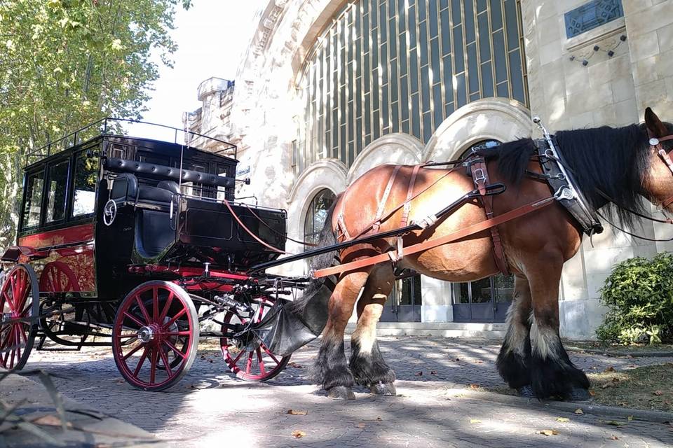 Les Calèches de Vichy