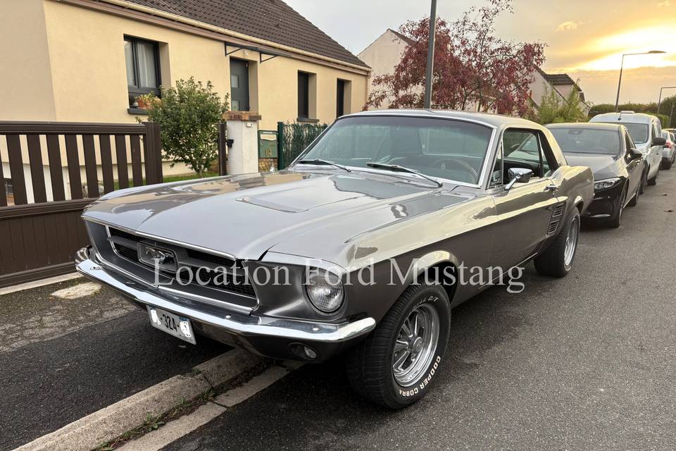 1967 1
