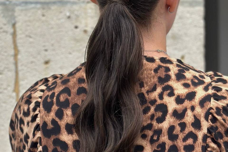 Coiffure élégante