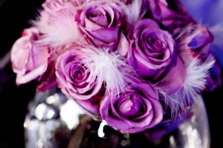 Roses violettes