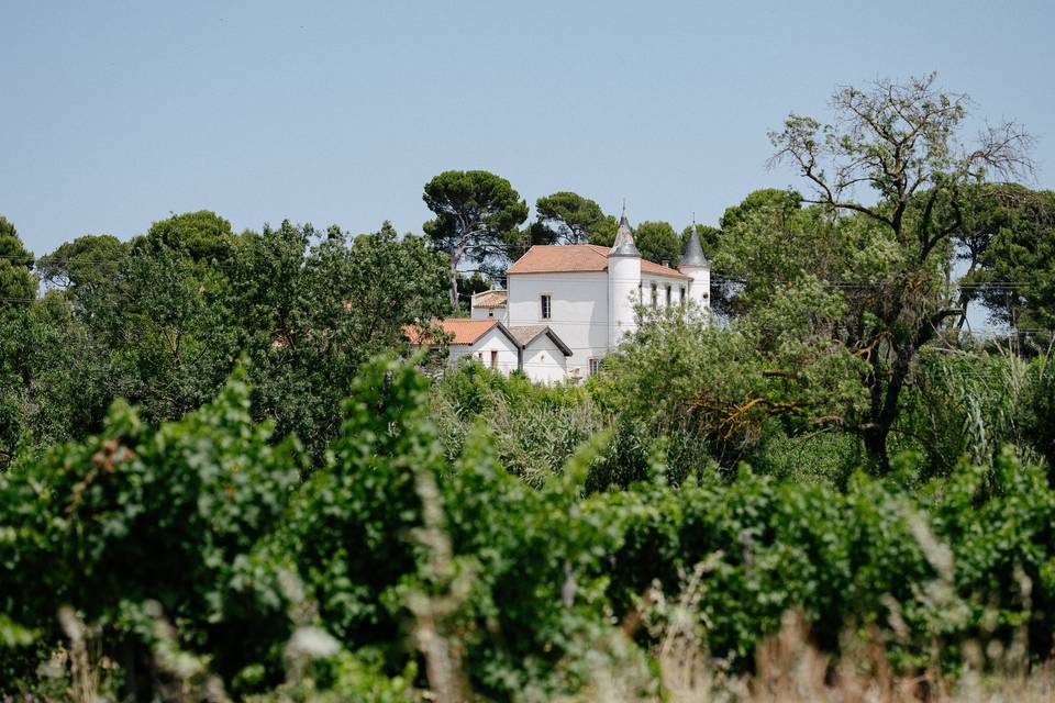 Domaine des hautes vignes