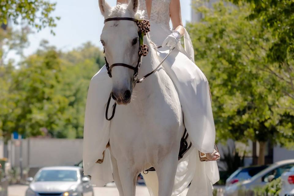 Virginie & Gregory - 06|09|25