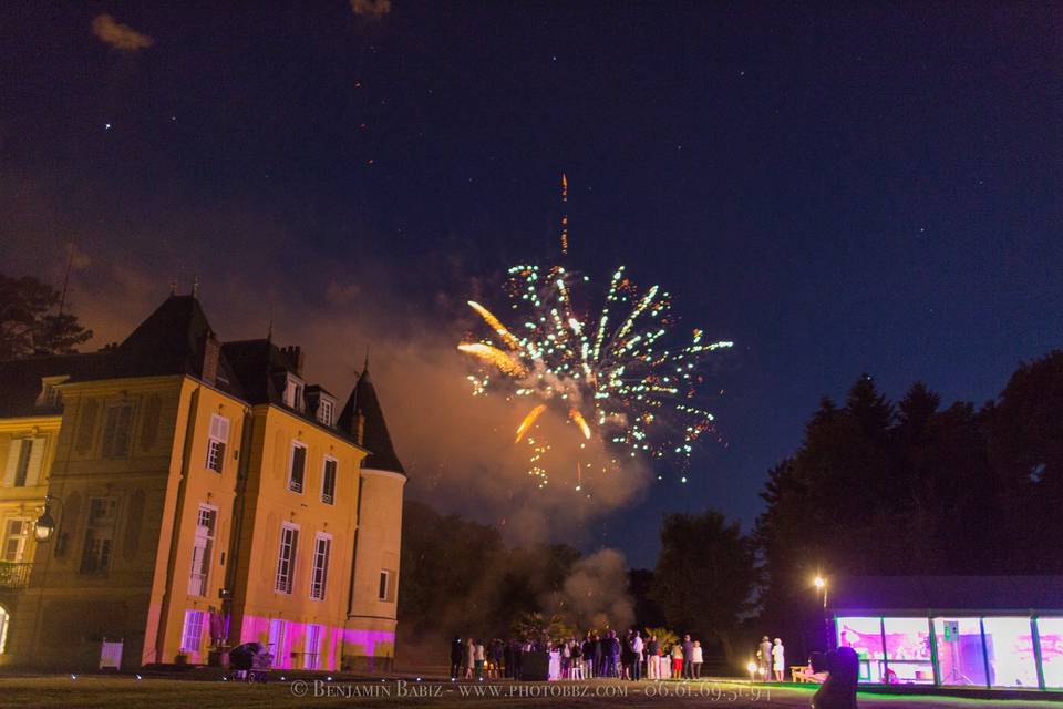 Feu d'artifice dans le parc