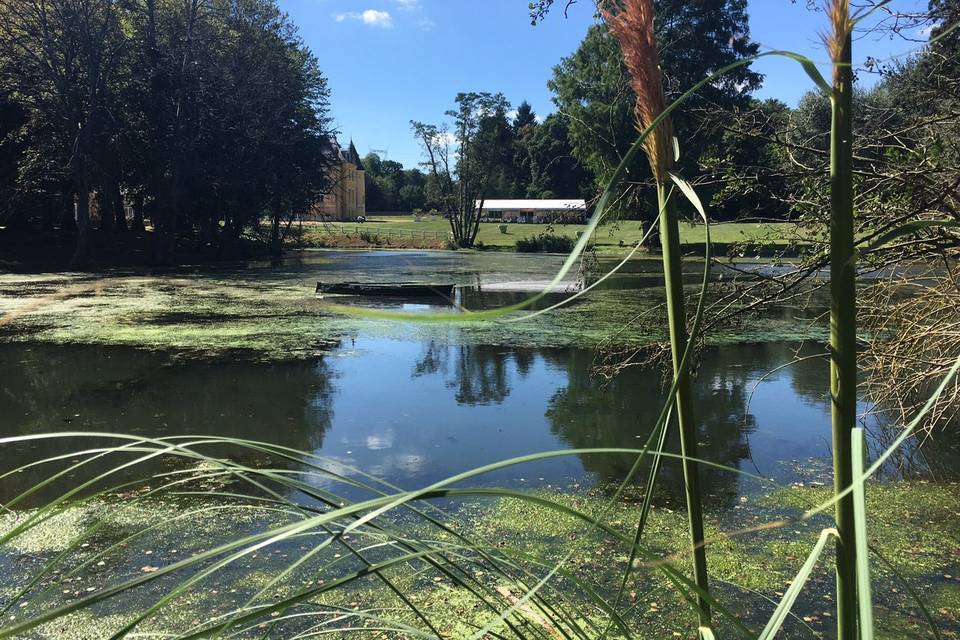 L'étang du parc