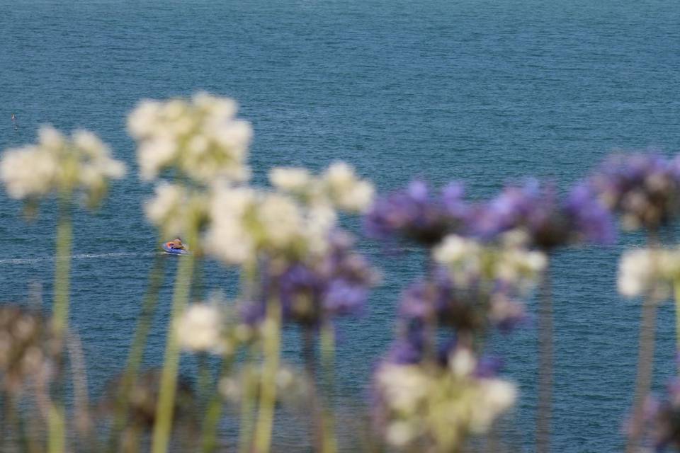Vue sur l'horizon