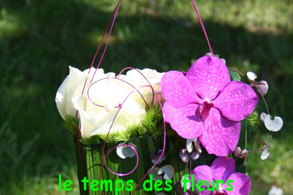 Le Temps des Fleurs