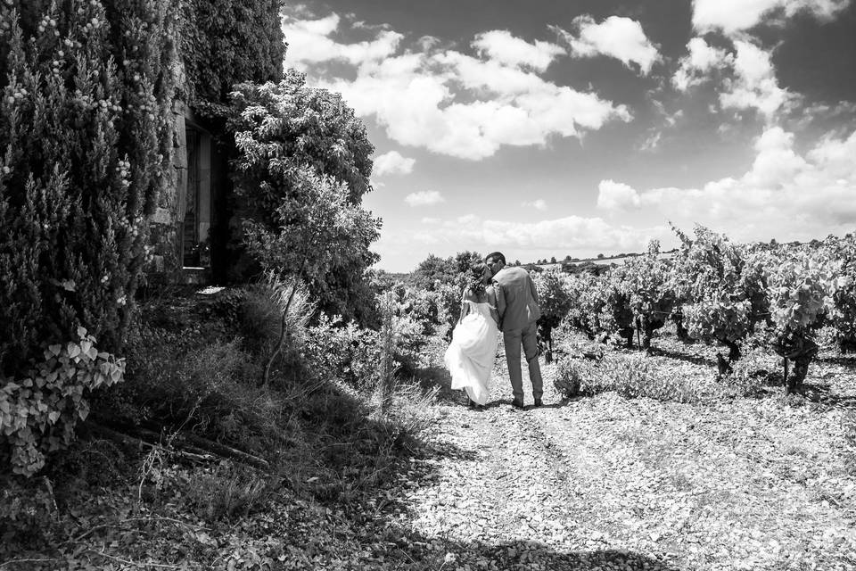 Les vignes