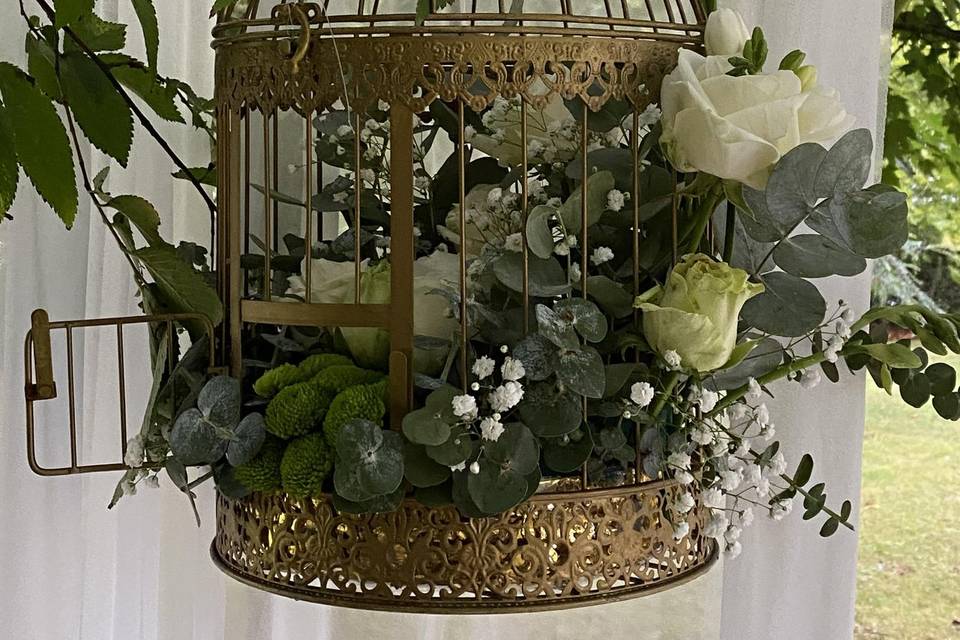 Comme cage oiseaux florale