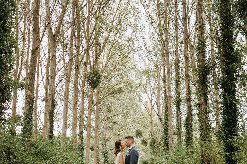 La forêt du Château Vert