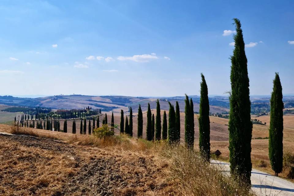 Toscane