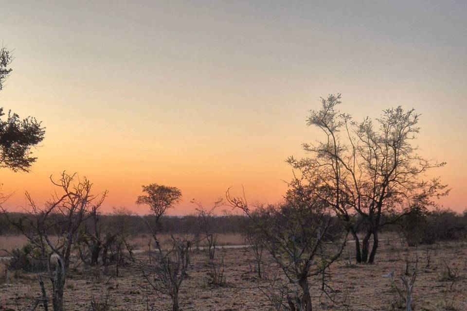 Parc Kruger