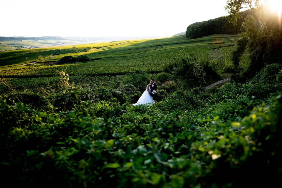 Les mariés et la nature