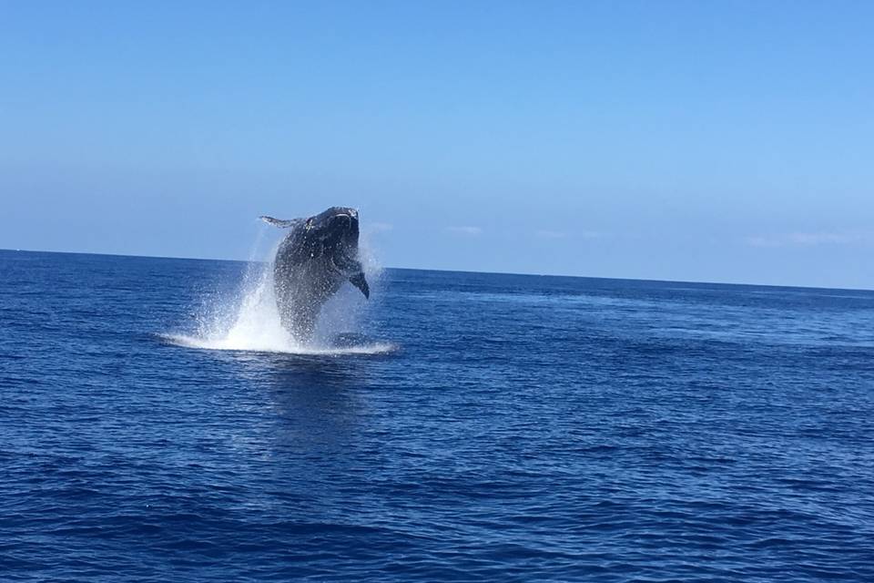 La Réunion