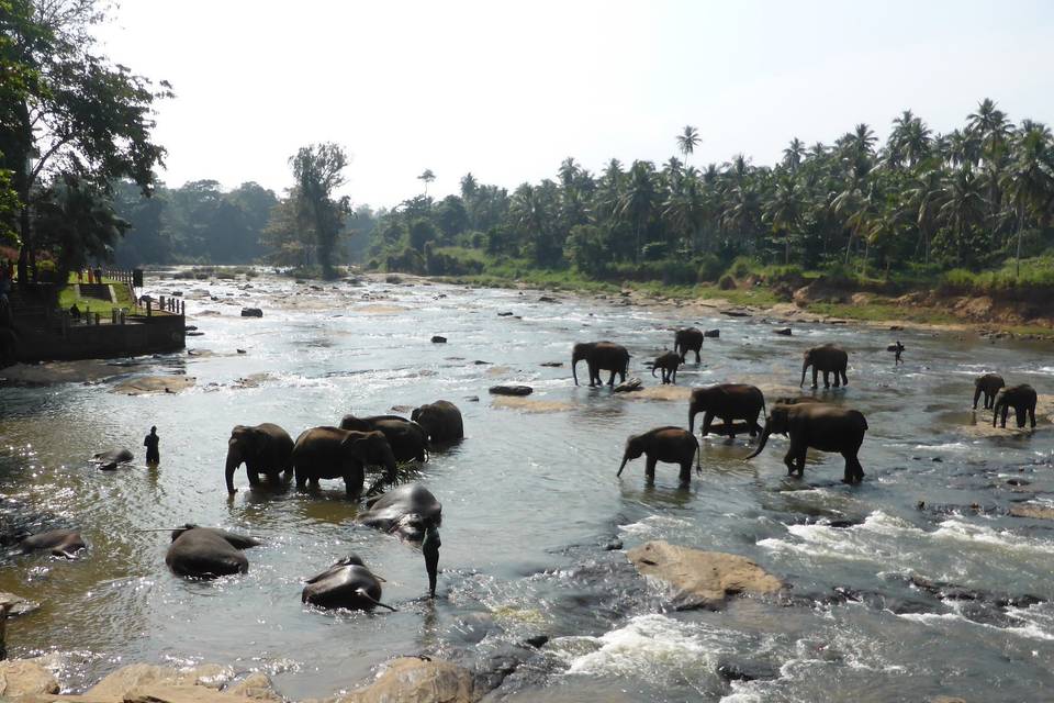 Sri Lanka