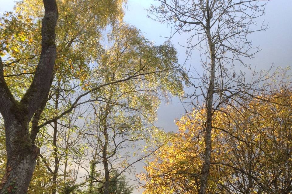 Parc à l'automne